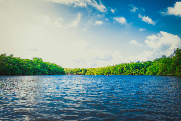 The Nature 'Vitamin' - Part 1 in our 'Boost Your Mood' series