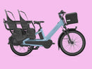 Gazelle Cabby electric cargo bike