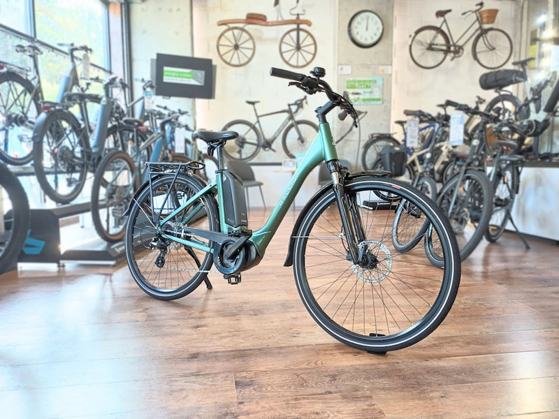 Raleigh motus step through shop