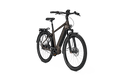 Kalkhoff Image 5.B Move+ Electric Bike